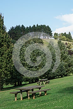 A green hillside park with wildlife and a table and benches for a perfect holiday. Coniferous trees