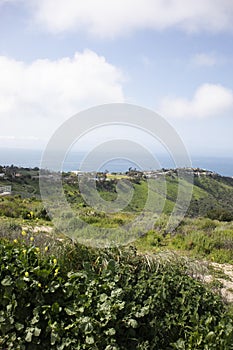 Green hillside with residential homes in the background and Pacific Ocean