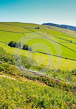 Green Hilly Fields in Staffordshire