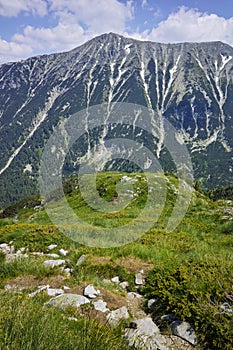 Green hils of Todorka peak, Pirin Mountain