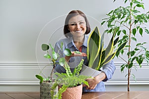 Green hobby indoor houseplants, woman with plants in pots, female showing fertilizer sticks