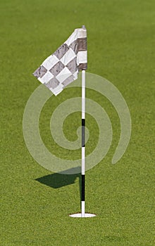 Green and Hole Flag