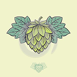 Green Hop Cone. Hop cone logo. Beer Cone Hop and Leaves Illustration.