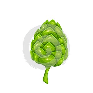 Green hop cone, symbol of beer festival