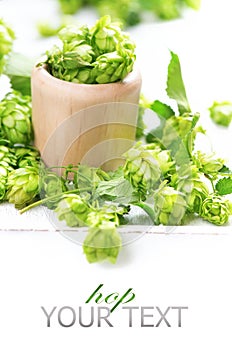 Green hop in wooden bowl over white background