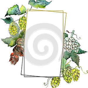 Green hops. Watercolor background illustration set. Frame border ornament square.
