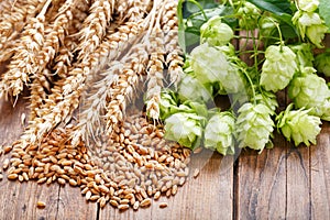 Green hops, wheat ears and grains on wooden table