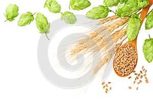 Green hops with wooden spoon, wheat and wheat spikes isolated on a white background. top view