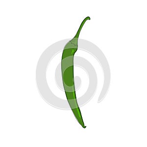 Green Hot Chili Pepper Isolated on White