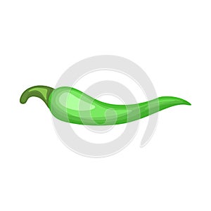 Green hot chili pepper pod image vector illustration