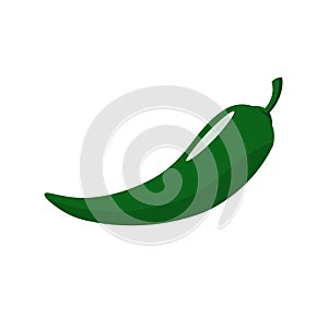 Green hot chili pepper vector illustration, isolated on white background. Hot chili flat design vector