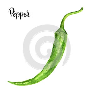Green hot chili pepper watercolor isolated on white background