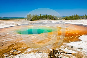 Green Hot Spring Pool in Yellowstone National Park,USA