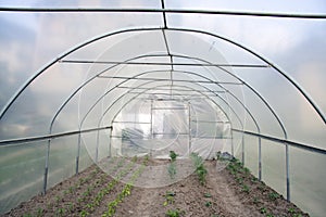 Green house