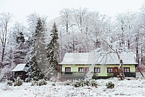 Green house on the background of the winter forest, Beskids, Poland