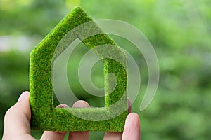 Green house icon concept