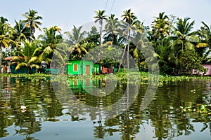 Green house in the Kerala backwaters in the lush jungle along the canal, Alappuzha - Alleppey, India