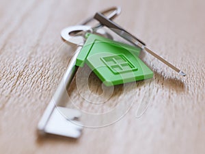 Green house keychain and keys on table close-up