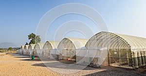 Green house, plant tunnel the new modern crop system to improve yield and quality.