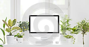 Green house plants around blank screen computer on white table