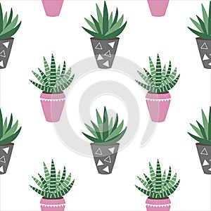 green house plants in the pink and gray pots sansevieria haworthia scandinavian style boho seamless pattern vector