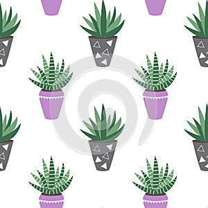 green house plants in the purple and gray pots sansevieria haworthia scandinavian style boho seamless pattern vector