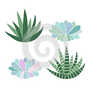 green house plants sansevieria haworthia aloe and pastel succulent scandinavian style boho set illustration vector