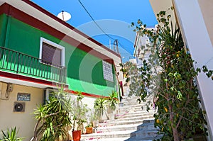 Green house in Samos Town. Greece