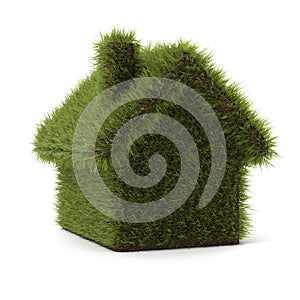 Green hrass house