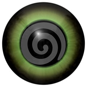 Green human eyeball with white background, black big pupil, colorized green eye