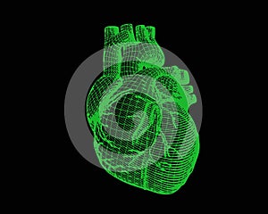 Green human heart digital wireframe isolated on dark BG