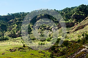 Green humid farm field in canyon of volcano Cape