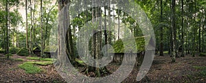 Green hut in forest