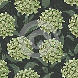 Green Hydrangea, Handdraw illustration, Seamless Pattern on dark background