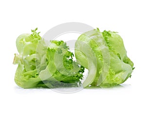 Green Iceberg lettuce with drops of water on white background
