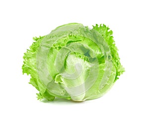 Green Iceberg lettuce on white background, Fresh cabbage isolate