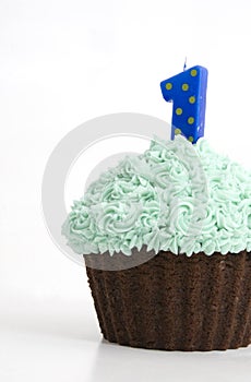 Green Icing Cupcake