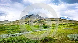 Green Iclandic meadow and mountains