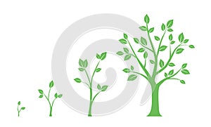 Green icons - stages of tree growth on white background