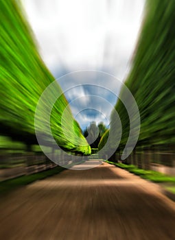 Green idyllic tree alley park motion abstract