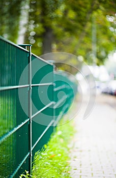 Green Iron Fence Macro View