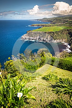 Green island in the Atlantic Ocean, Sao Miguel, Azores, Portugal