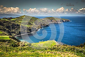 Green island in the Atlantic Ocean, Sao Miguel, Azores, Portugal