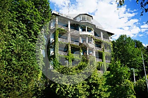 Green ivy facade