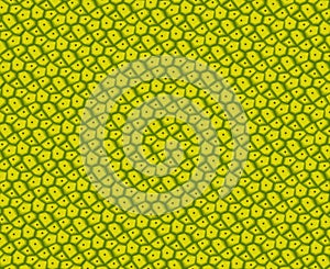 Green jackfruit peel texture, vector