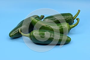 Green Jalapeno Peppers Arranged on a Seamless Blue Background