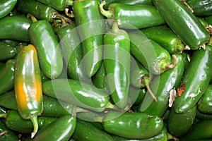 Green Jalepeno