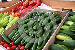 Green Jalepeno Peppers