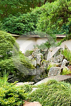 Green japanese garden