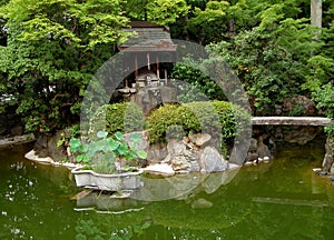 Green japanese garden